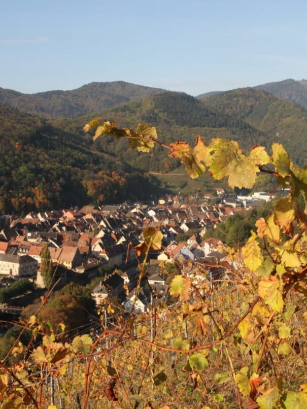 Hôtel à Thann, dans le Haut-Rhin (68) - Hôtel du Rangen